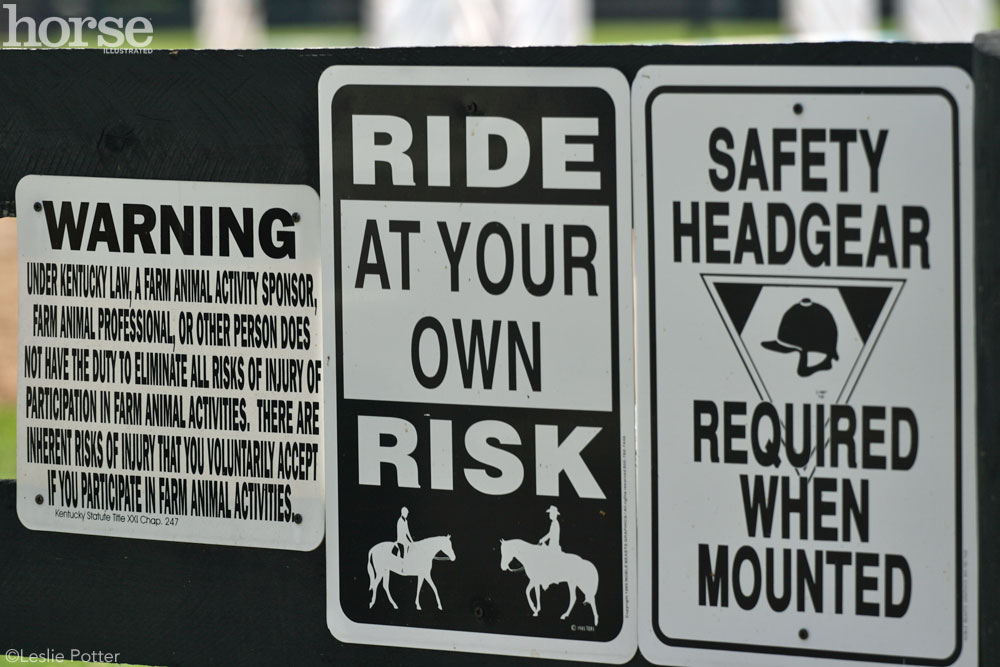 Equine Liability