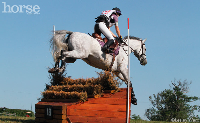 Eventing Horse