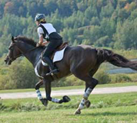 The 2008 FEI World Cup Eventing Final begins September 18 in France