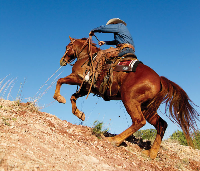 Extreme Cowboy