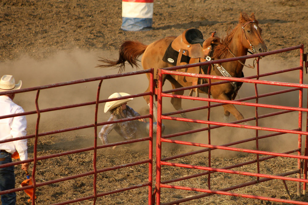 Falling off a Horse