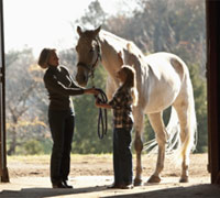 Horse barn