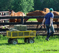 Farm workers