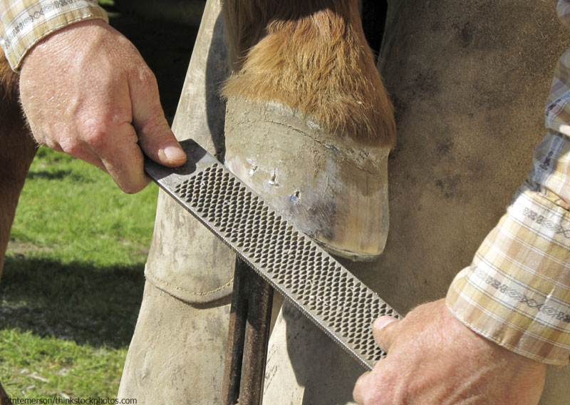 Farrier Farrier