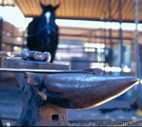 Farrier's tools