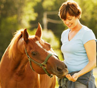 Feeding a horse