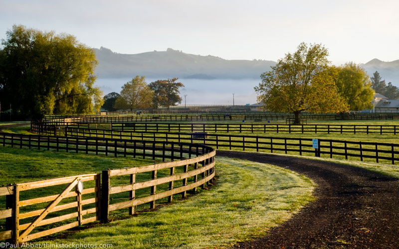 Horse farm