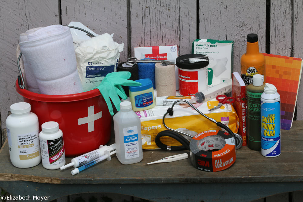 Horse First Aid Kit