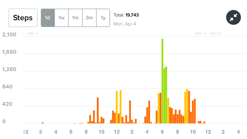 Fitbit on Horseback