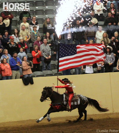 American flag horse