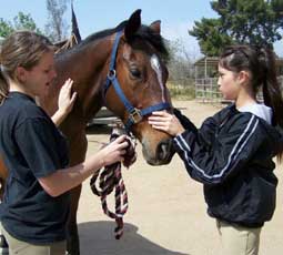 Leasing your horse to another rider could be the way to keep your horse around