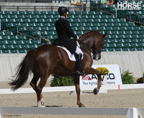 Guenter Seidel and Wylea