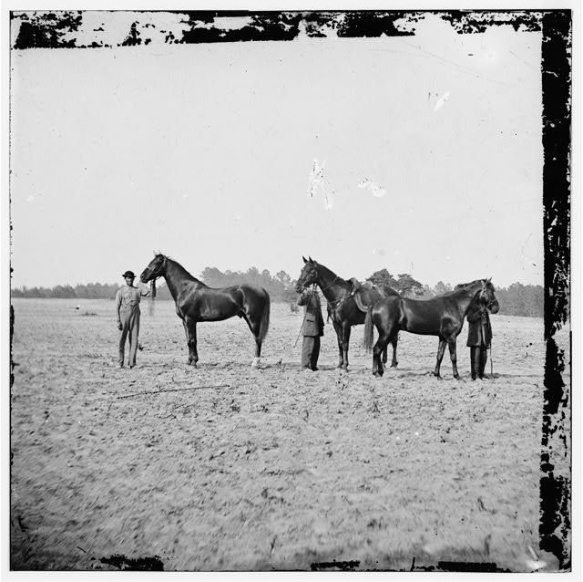 Ulysses S. Grant's Horses