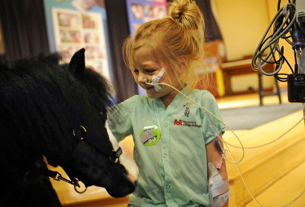 Gentle Carousel Therapy Horse Magic