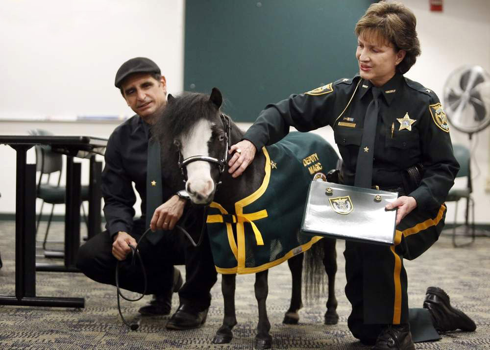 Gentle Carousel Therapy Horse Magic