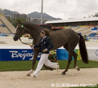 The 3-day Eventing competition is starting for the 2008 Olympics