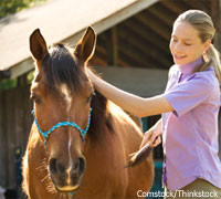 Young equestrian grooming a pony