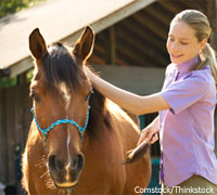 Grooming horse