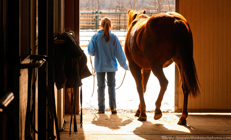 Working in the barn aisle