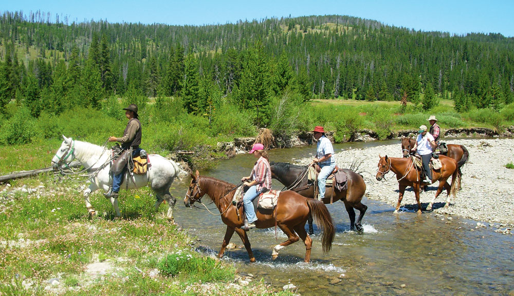 Grand Tetons Horseback Riding