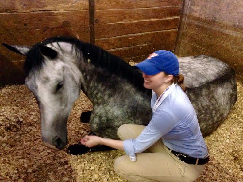 Horse Cuddles