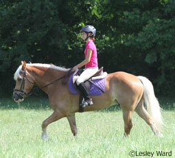 Trail riding