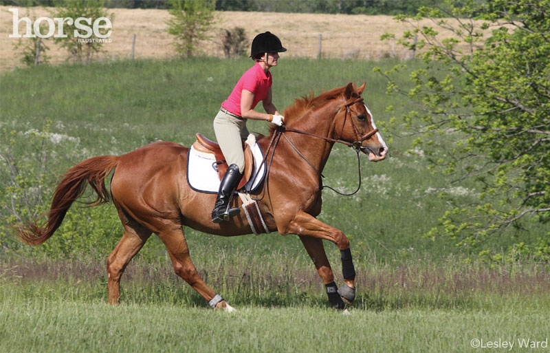 English Saddle Pad