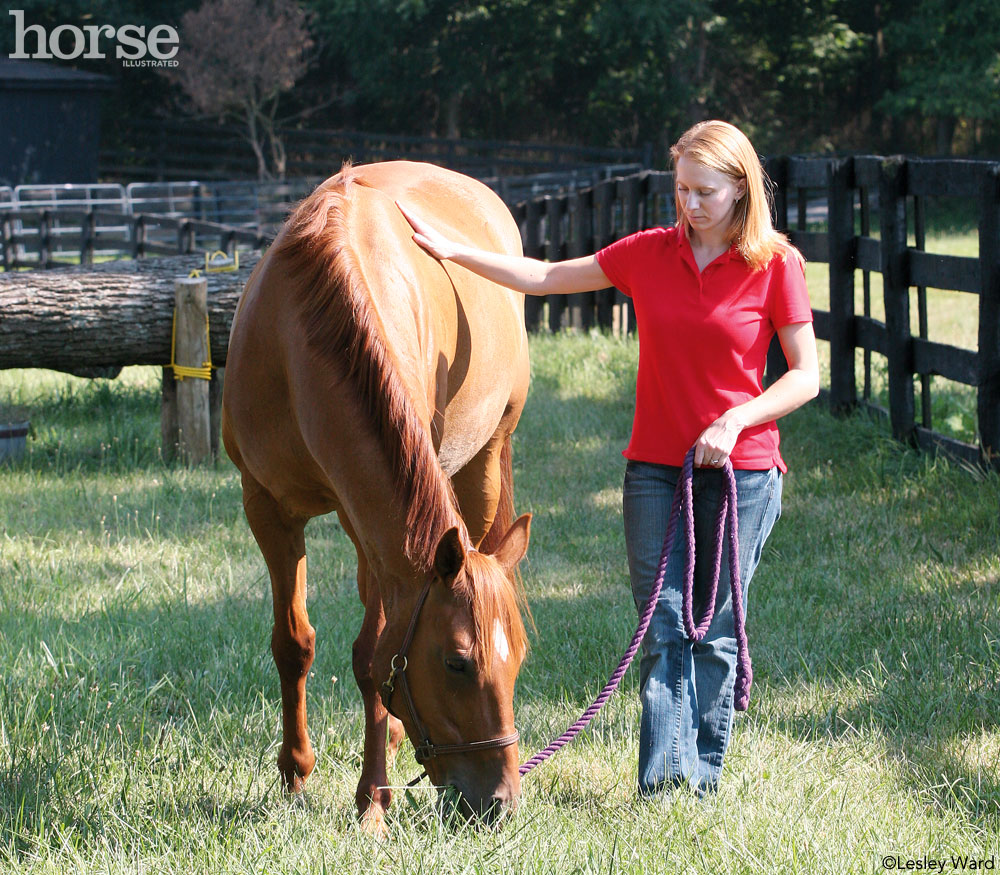 Horse and Human