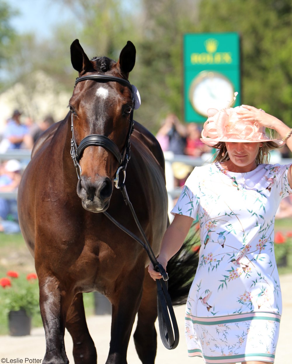 2017 Rolex Kentucky Three-Day Event