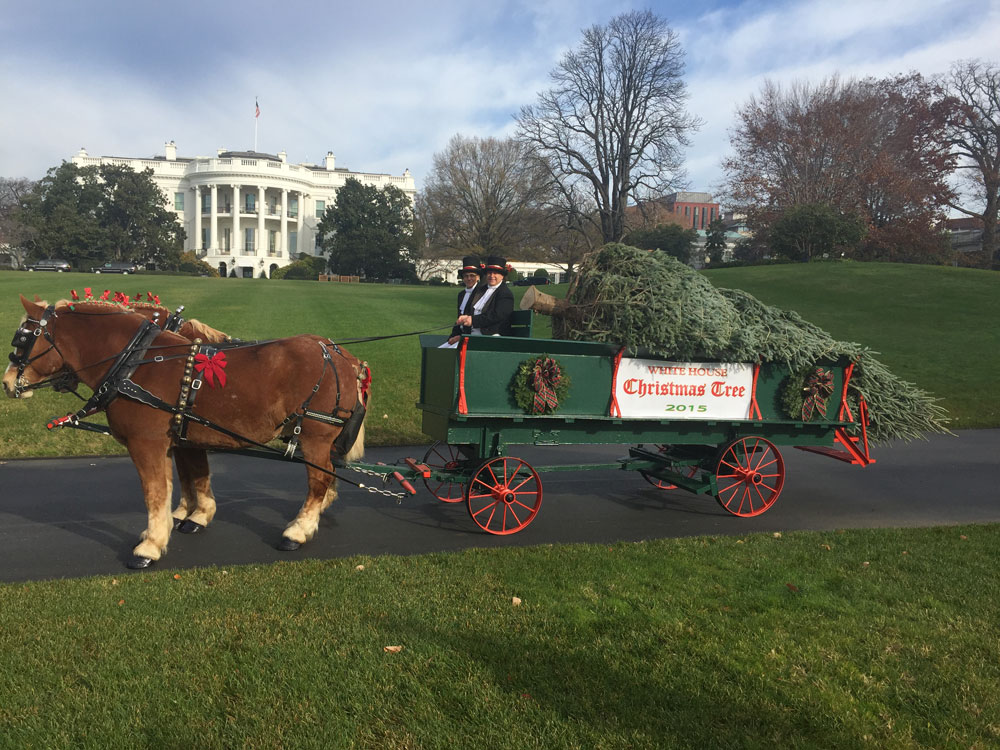 Harmon's Hayrides