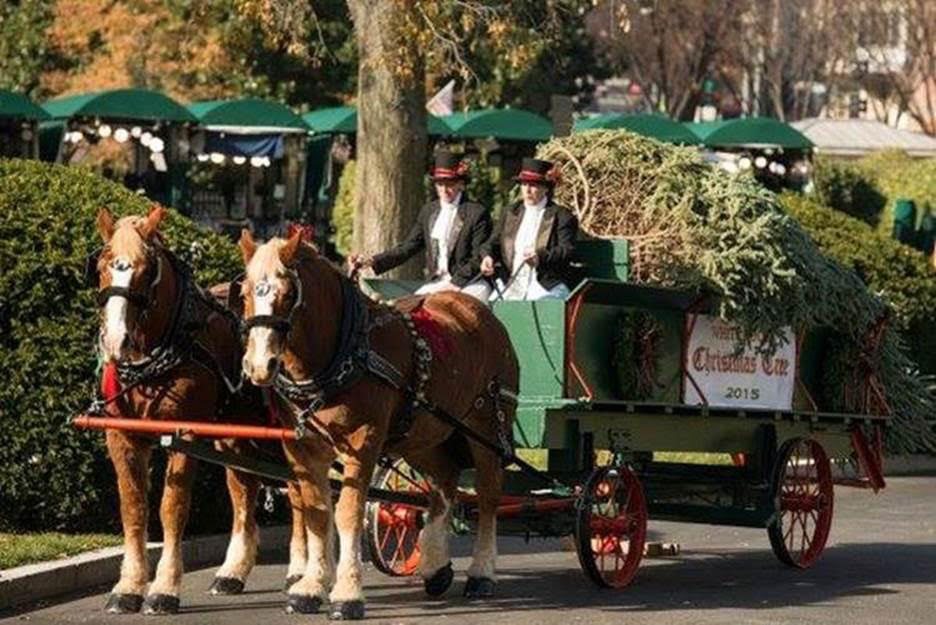 Harmon's Hayrides