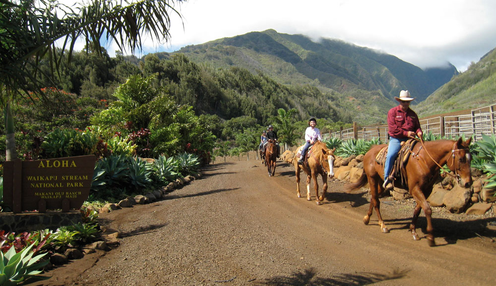 Horseback Riding in Hawaii