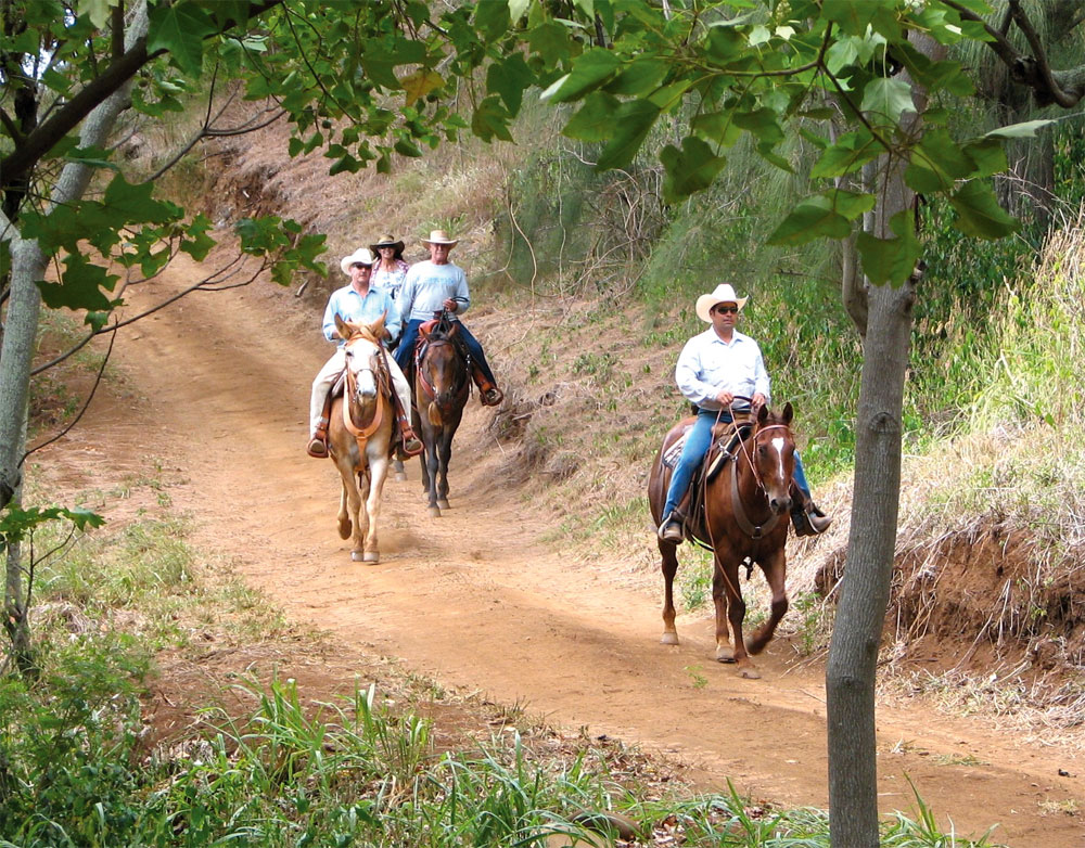 Horseback Riding in Hawaii