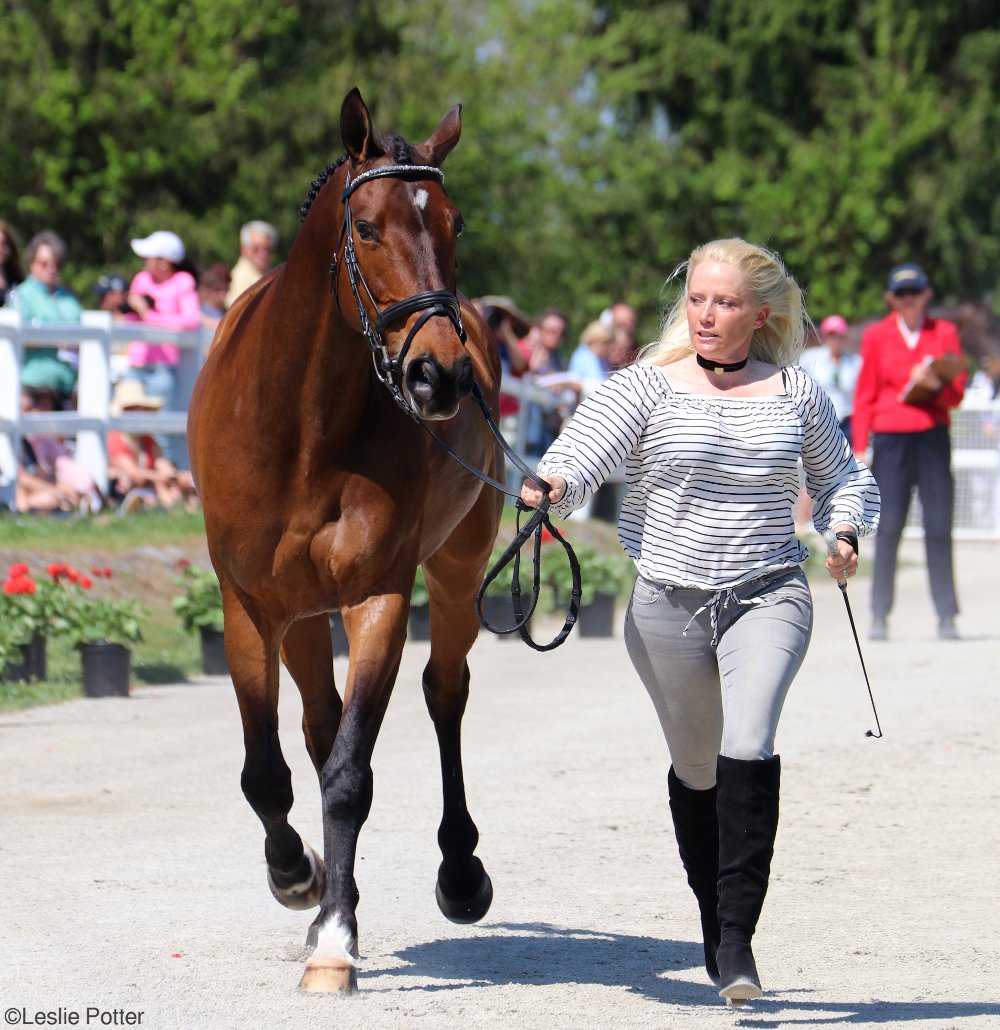 2017 Rolex Kentucky Three-Day Event