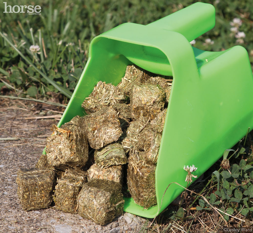 A horse feed scoop filled with hay cubes for feeding