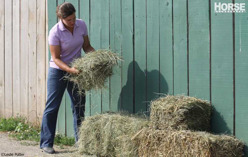 Selecting Hay