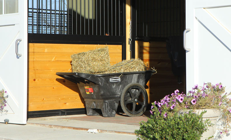 Hay Theft