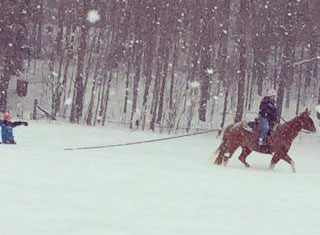 Winter Horses