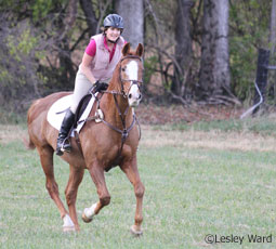 Equestrian helmet