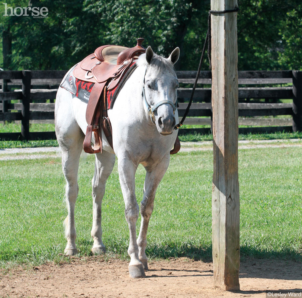 Hitching Post