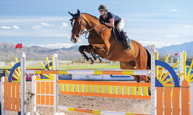 Horse Shows in the Sun