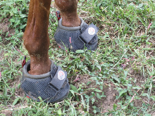 Hoof Boots