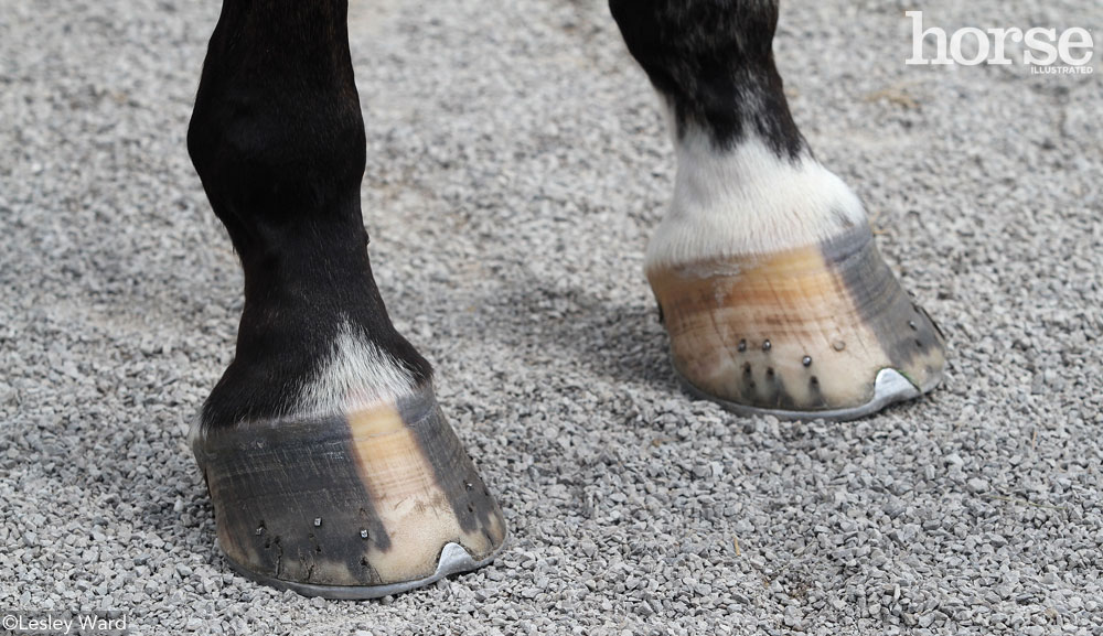 Hooves