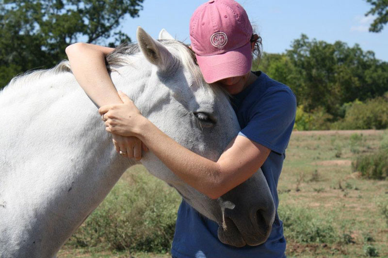 Horse hugs