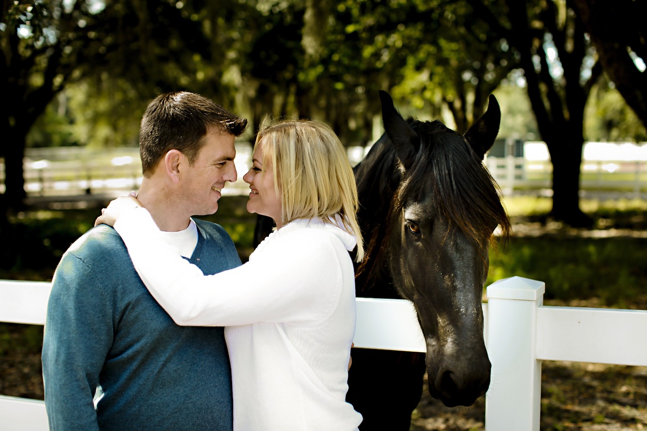 Horse and Couple