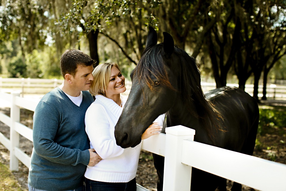 Horse and Couple