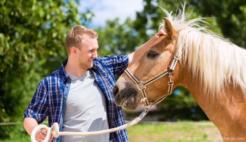 Horse with Dude