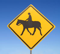 Horse crossing