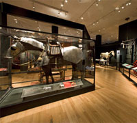 The Horse exhibition at the Carnegie Museum of Natural History