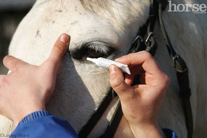 Horse Eye Medication